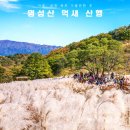 10월 포천 산정호수 명성산(억새축제) 이미지