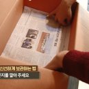 네모귤 이미지