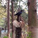 오늘의숲 이미지