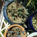 광호 농장 이미지