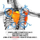 삼각형의 종류와 그립악력 이미지