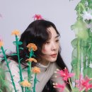 제이에이알