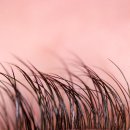 프리티헤어 이미지