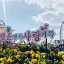 쌍암리주차장 | 2월 28일 재개장! 임실 옥정호 출렁다리, 물안개 명소 100% 즐기는 법