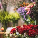 꽃담플라워 이미지