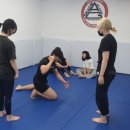 알파레슬링 이미지