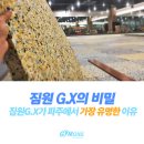 주식회사 짐원휘트니스 네이버블로그