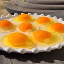 등고개2 이미지