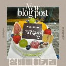 가온로 | 운정 케이크 맛집 케이크는 샹배 “샹배베이커리 본점” 후기