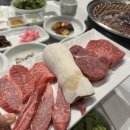 들마을 | 대구 달서구소고기맛집 들마을 솔직 후기