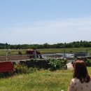 하도별방 이미지