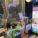 시원음악학원 이미지