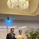 성원축사 | PJ호텔 뮤즈홀 26년 1월 자세한 본식 후기