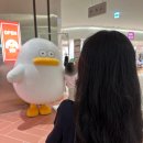 강남-175 | [미니 취미기록] 2024년 오둥이 팝업스토어 방문후기 (수원, 강남) &#34;오둥이의 아르바이트&#34;