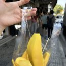 왓포태국마사지 이미지