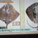 백반기행 전라도식 홍어탕 가오리탕 이미지