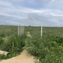 진인목장 | 웨딩 준비하기#9 고창 상하농원 웨딩 촬영후기, 전북, 전주 야외 웨딩스냅 '무프(무브프리)' 촬영 후기...