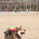 볼트