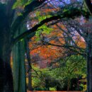 목동한의원 이미지