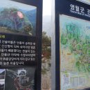 산솔원주 이미지