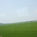 유명반점 이미지