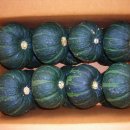 건이네 농장 이미지