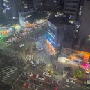 와일드 씽 후기 관악구 영화관 롯데시네마 놀거리