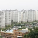 금산레저랜드 경향신문