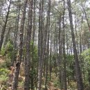 관동묘려 이미지