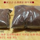 계전농장 이미지