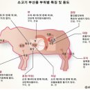 지금;양곱창