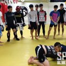 팀매드 이미지
