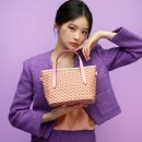 로베르타 이미지