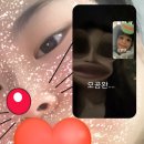 영채농장 이미지