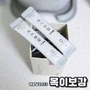 태양당 이미지