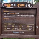 가야감고개공원작은도서관 이미지