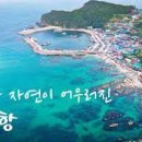 라이브일출 이미지