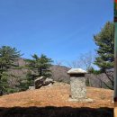 오대건설 | 만월신당]👉 일이 계속 막히는 이유, 지금이 방향 잡아야 할 타이밍입니다 (상원사 적멸보궁 다녀온 후기)