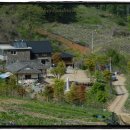 "적막한 산촌, 풀빛 아이들 소리" - ‘산위의 마을’에 사는 산촌 유학생들 이미지