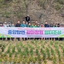 중앙탑면 행정복지센터 Daum카페