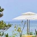 바다정원 속초카페거리 본점 이미지