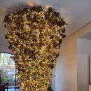 마마롱 제주 애월 거꾸로트리 <b>마마롱</b>