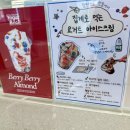 요거트아이스크림의정석 신정네거리점 | 신월동 카페 요거트 맛집 아이스크림은 요거브릭