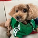 복탄산수 이미지