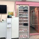 가로수길네일 손톱의 취향 신상 자석젤네일 후기
