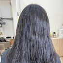 펠롱 - 제주시 신성로10길 9 | 천안 신불당 파크푸르지오 컷트 톤다운 염색 잘하는 헤어펠롱 미용실 후기