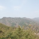 무릉도원면사무소 이미지