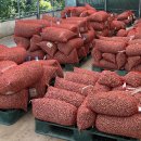 행정대서 이미지