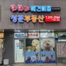 와와리 애견미용 이미지