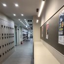 (주)에치와이 강남점 | 시골호랑이의 서울살이 7탄- 모의고사 기간, 서울일러스트레이션
